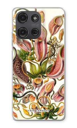 Haeckel Nepenthaceae