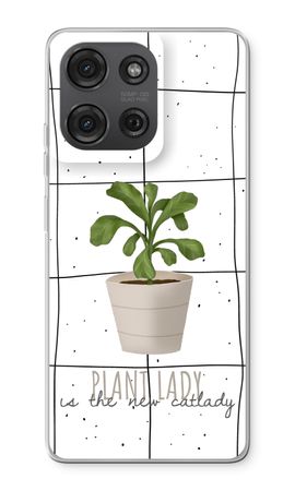 Houseplant on windowpane