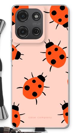 Ladybugs