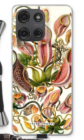 Haeckel Nepenthaceae