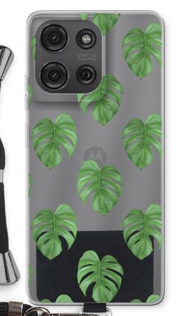 Monstera leaves