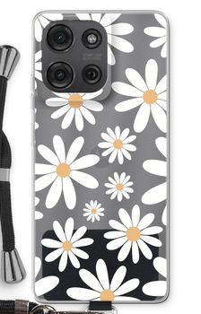 Encore des marguerites