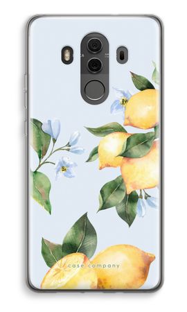 Orchard Sun