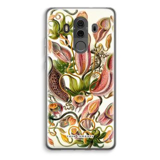 Haeckel Nepenthaceae