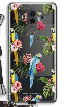 Colourful parrots