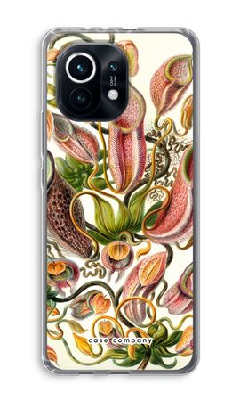 Haeckel Nepenthaceae