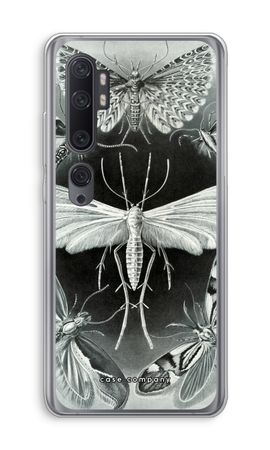 Haeckel Tineida