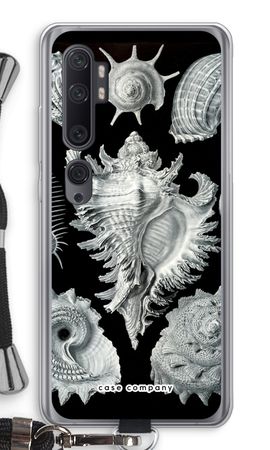 Haeckel Prosobranchia