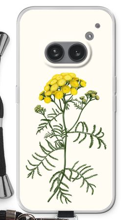 Tansy