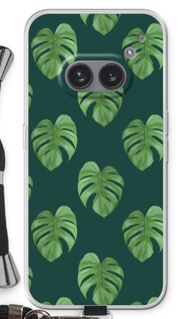 Monstera leaves
