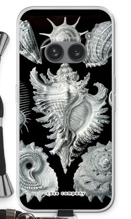 Haeckel Prosobranchia