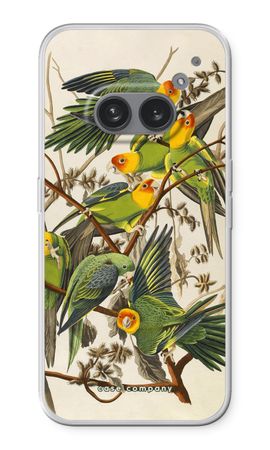 Carolina Parrot