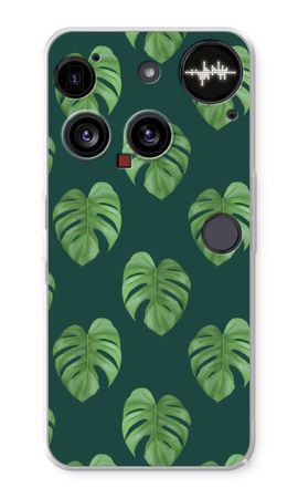 Monstera leaves