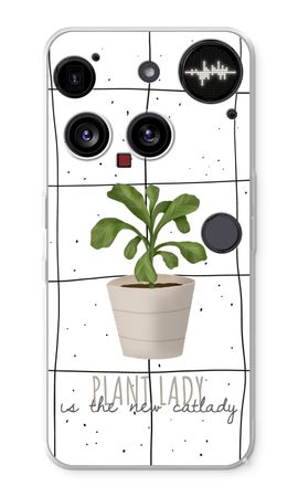 Houseplant on windowpane