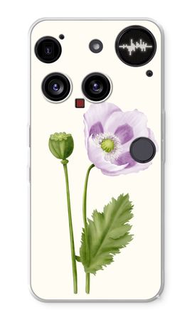 Purple poppy