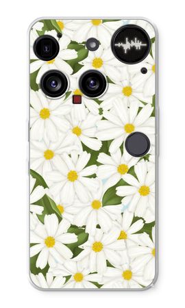 Summer Daisies
