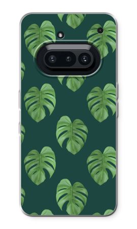 Monstera leaves