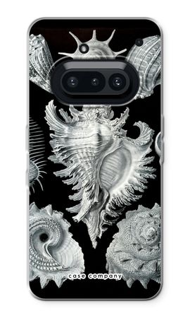 Haeckel Prosobranchia