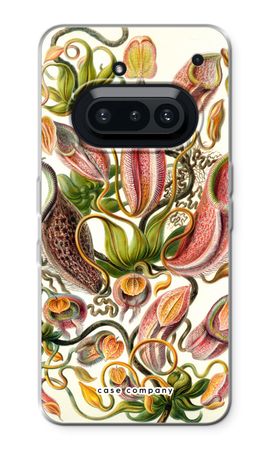 Haeckel Nepenthaceae