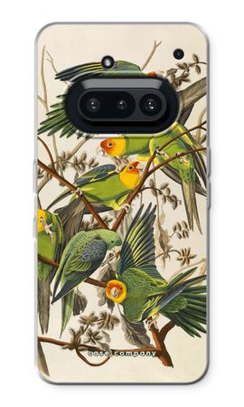 Carolina Parrot