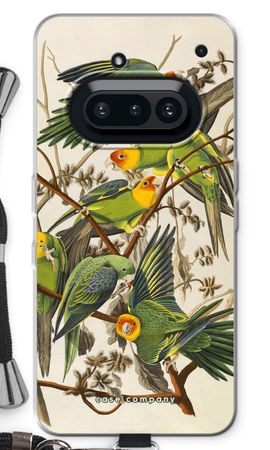 Carolina Parrot