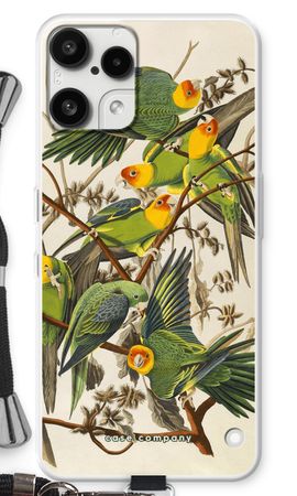 Carolina Parrot