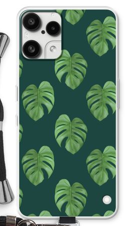 Monstera leaves