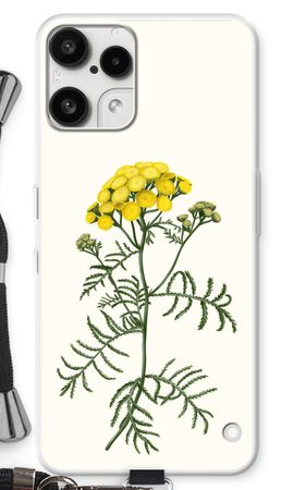 Tansy