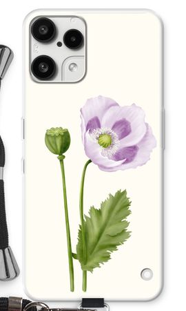 Purple poppy
