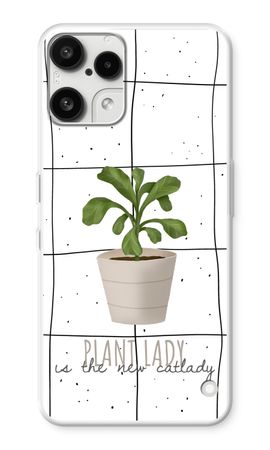 Houseplant on windowpane