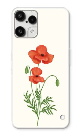 Red poppy