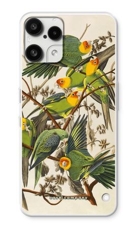 Carolina Parrot