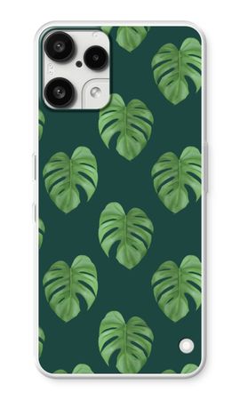 Monstera leaves