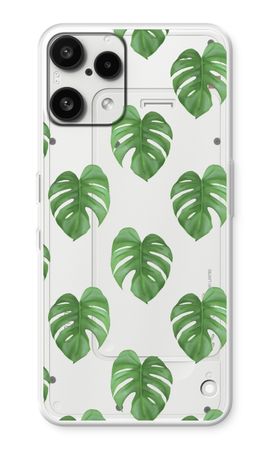 Monstera leaves