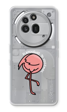 Flamingoes to voicemail