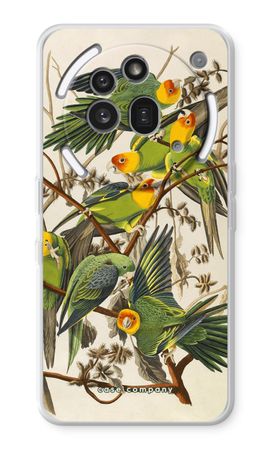 Carolina Parrot