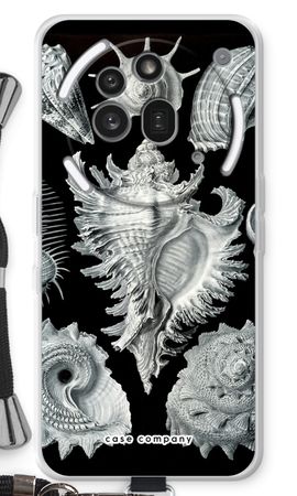 Haeckel Prosobranchia