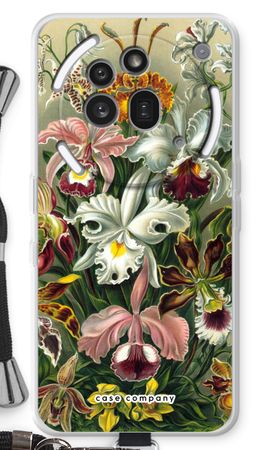 Haeckel Orchidae