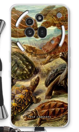 Haeckel Chelonia