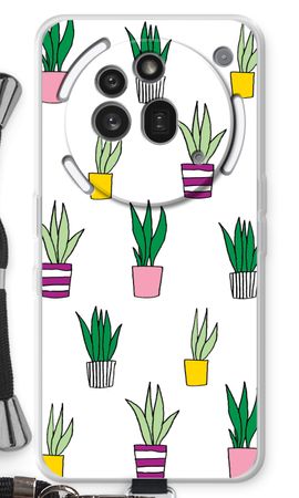 Sanseveria