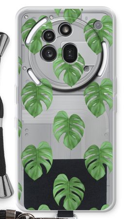 Monstera leaves