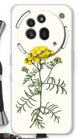 Tansy
