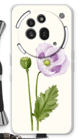 Purple poppy