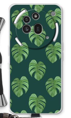 Monstera leaves
