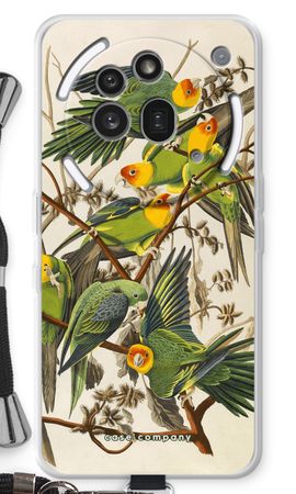 Carolina Parrot