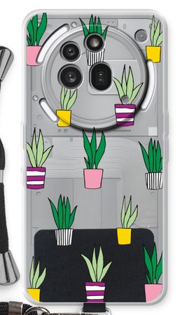 Sanseveria