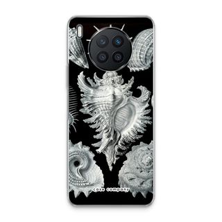 Haeckel Prosobranchia