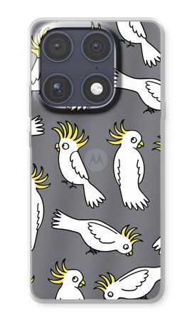 Parrot