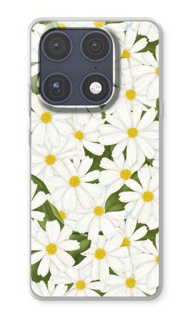 Summer Daisies