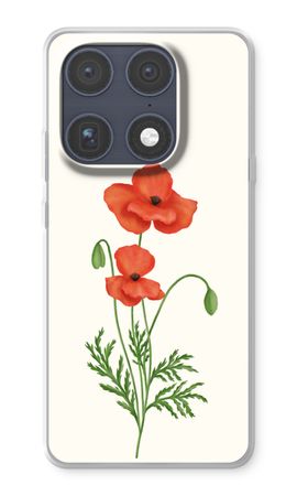 Red poppy